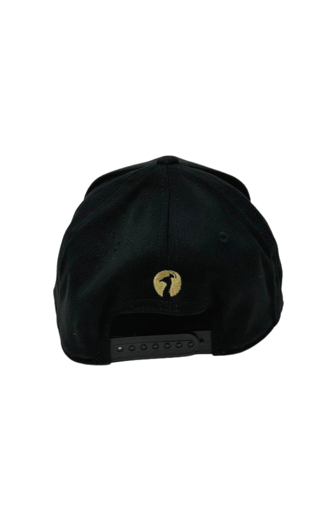 Big Letter Classic Snap Back